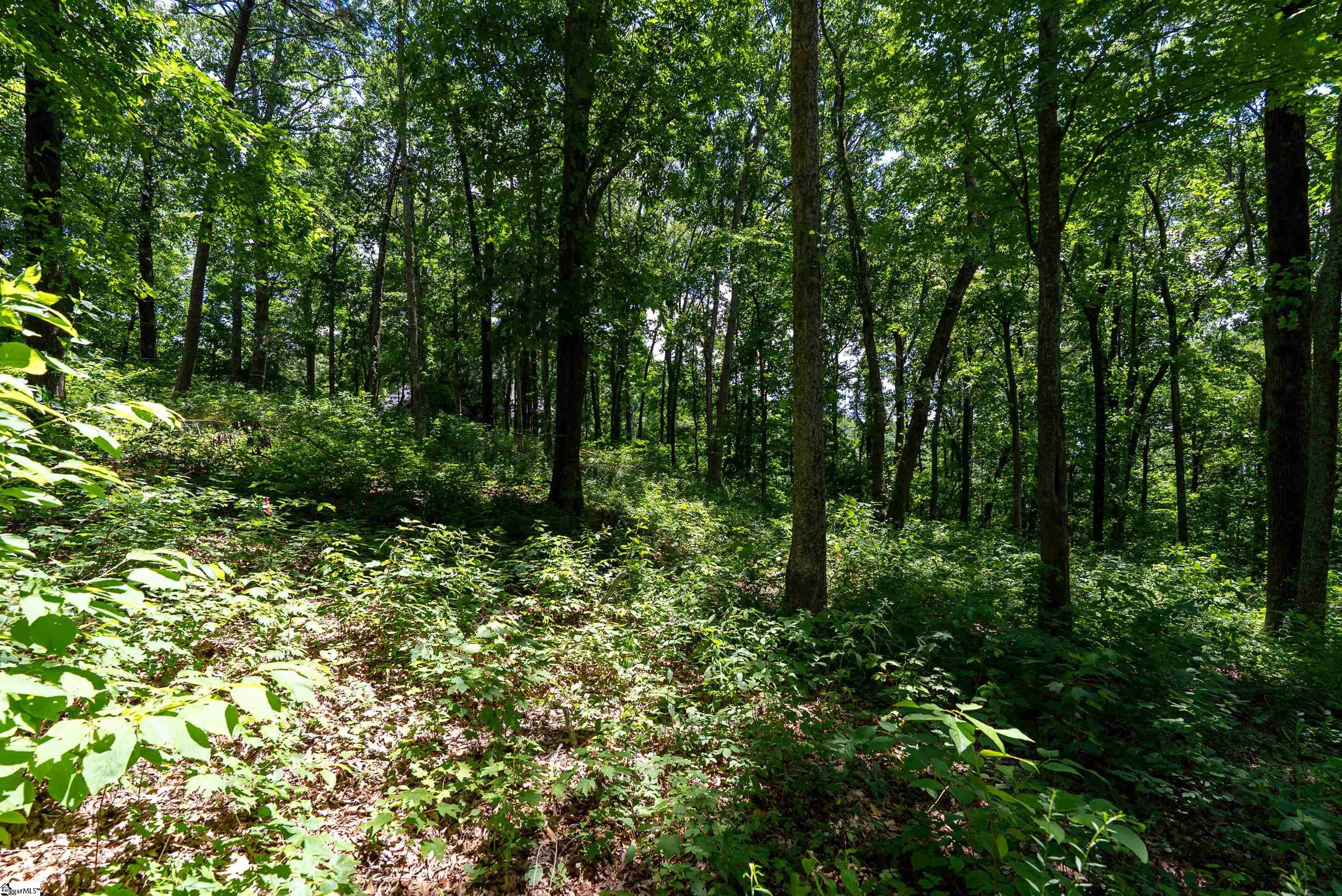 22 Raven Road Landrum, SC 29356 - Photo 11 of 13