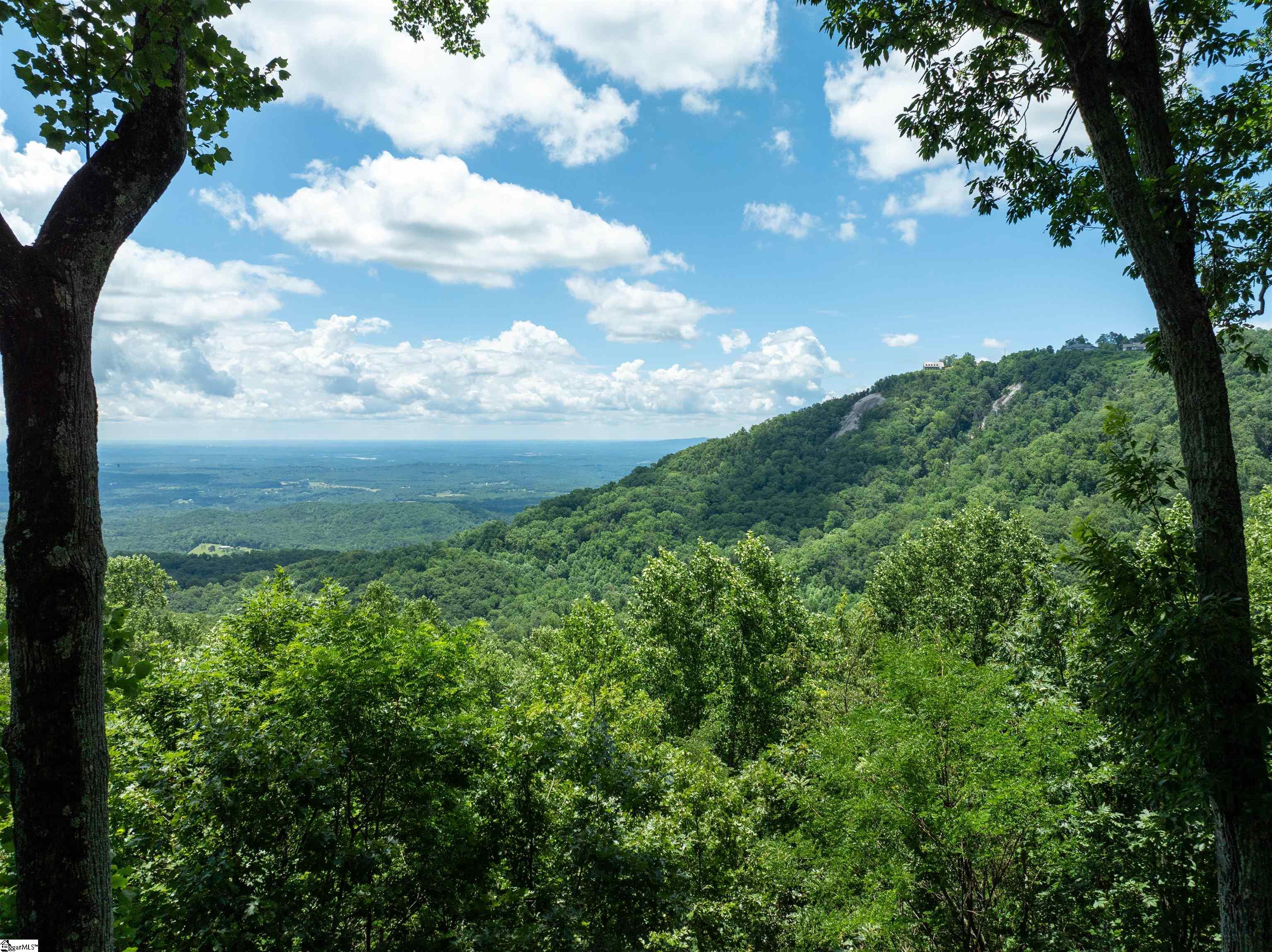 22 Raven Road Landrum, SC 29356 - Photo 2 of 13