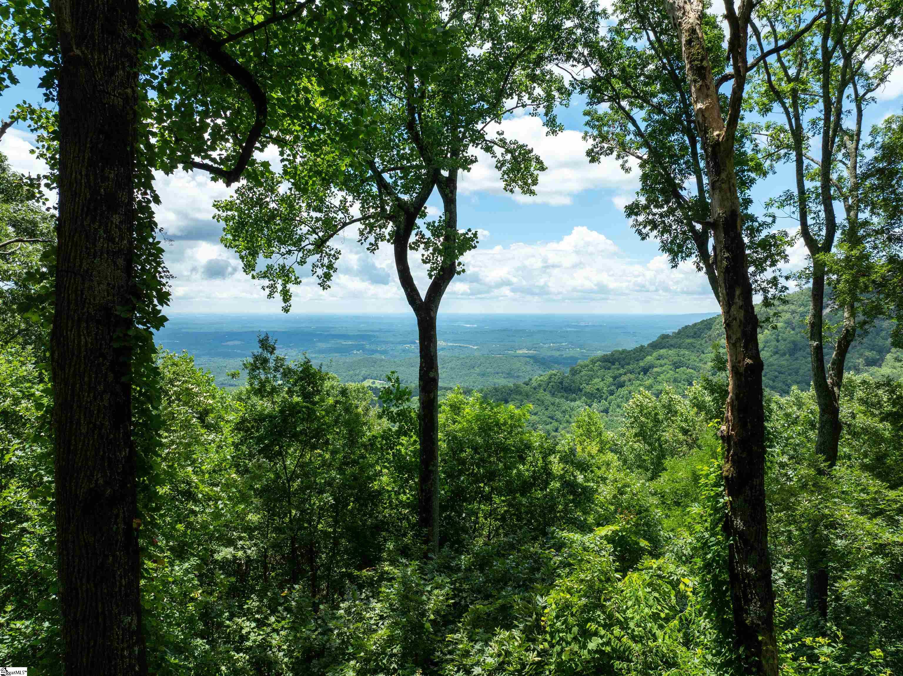 22 Raven Road Landrum, SC 29356 - Photo 3 of 13