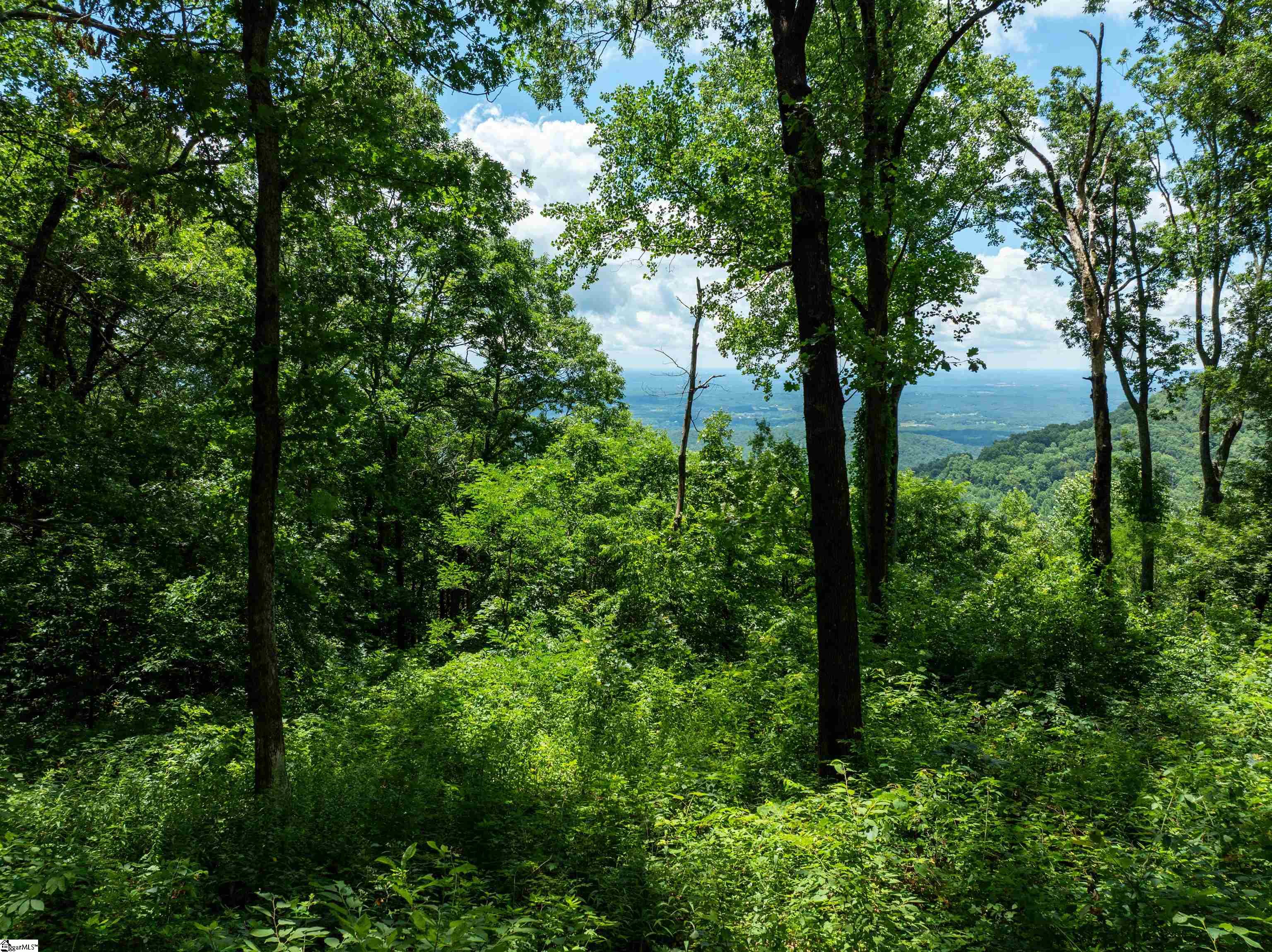 22 Raven Road Landrum, SC 29356 - Photo 4 of 13