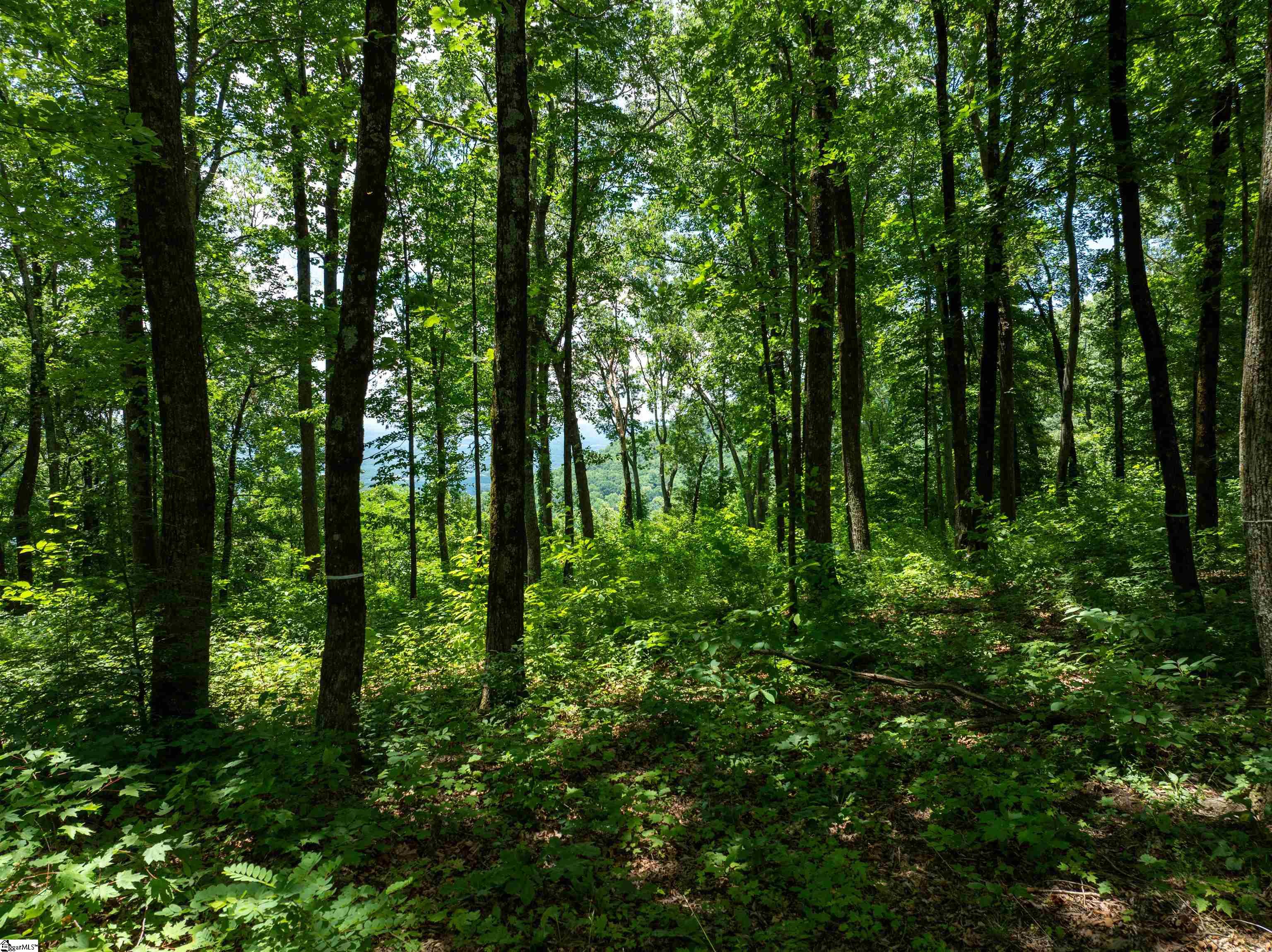 22 Raven Road Landrum, SC 29356 - Photo 5 of 13