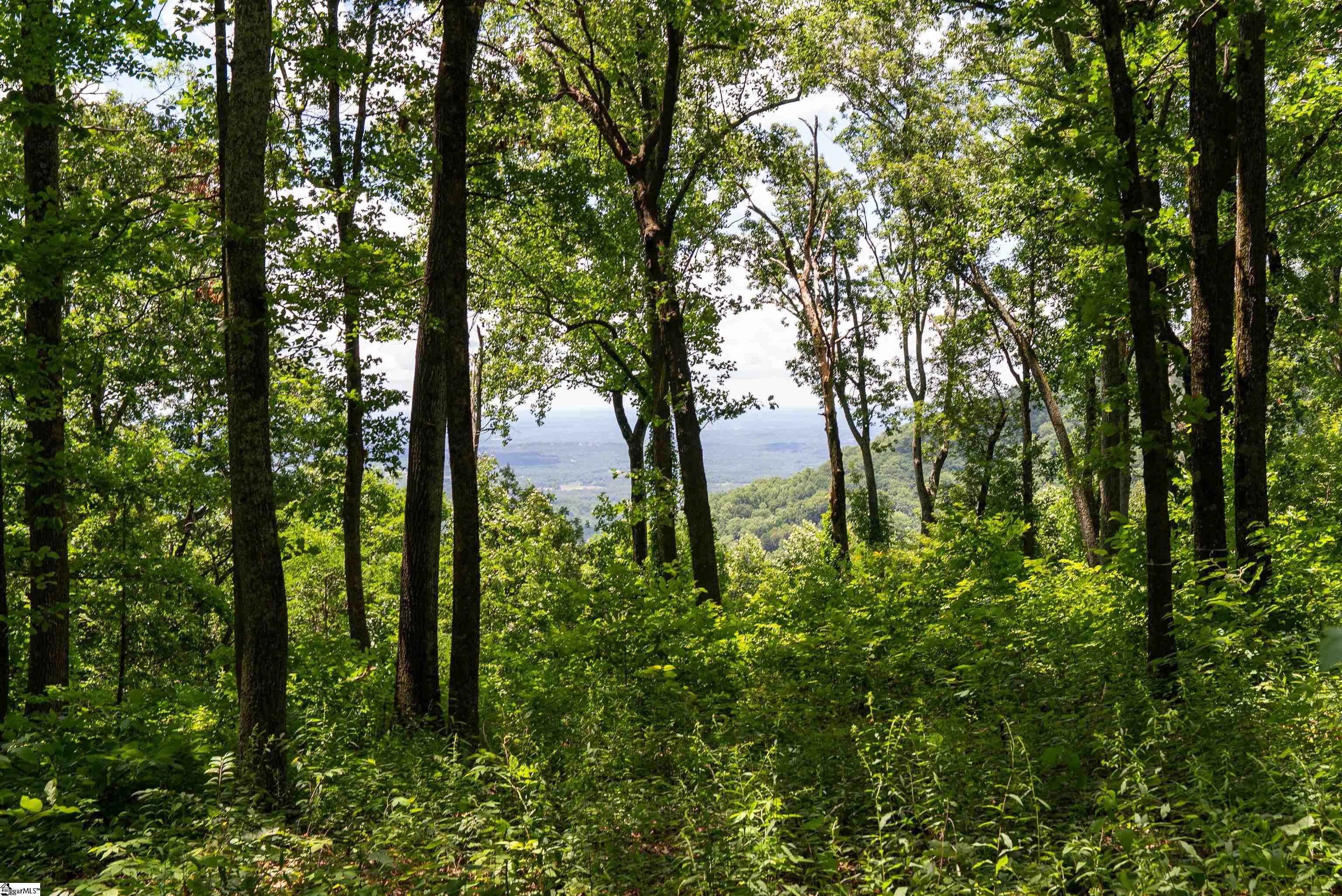 22 Raven Road Landrum, SC 29356 - Photo 6 of 13