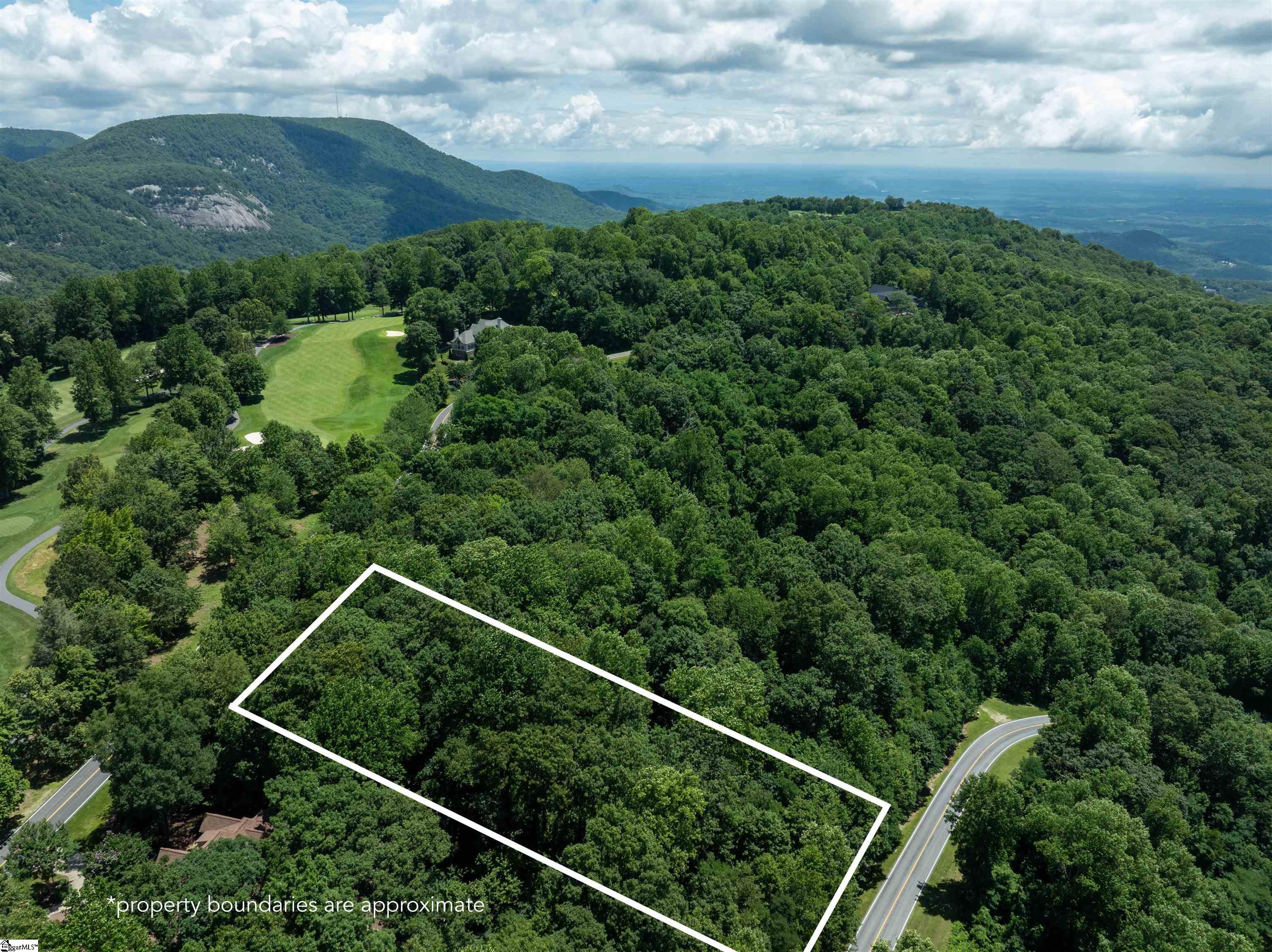 22 Raven Road Landrum, SC 29356 - Photo 7 of 13