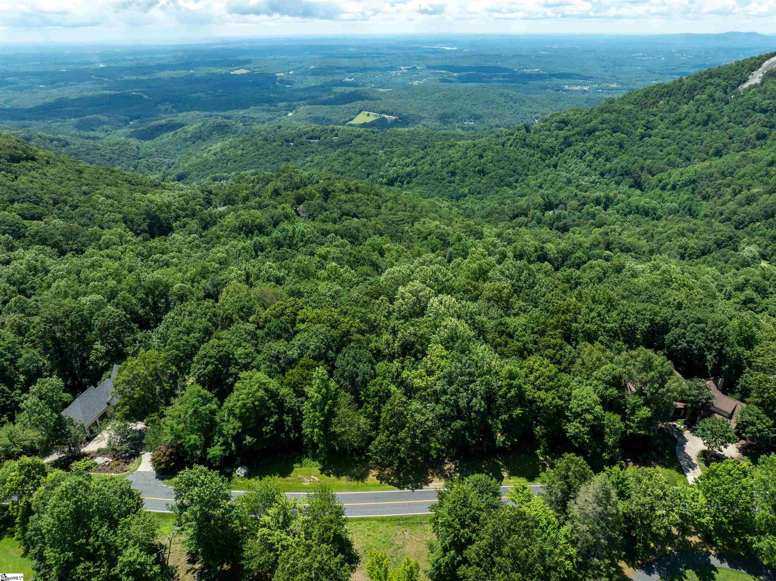 22 Raven Road Landrum, SC 29356 - Photo 9 of 13