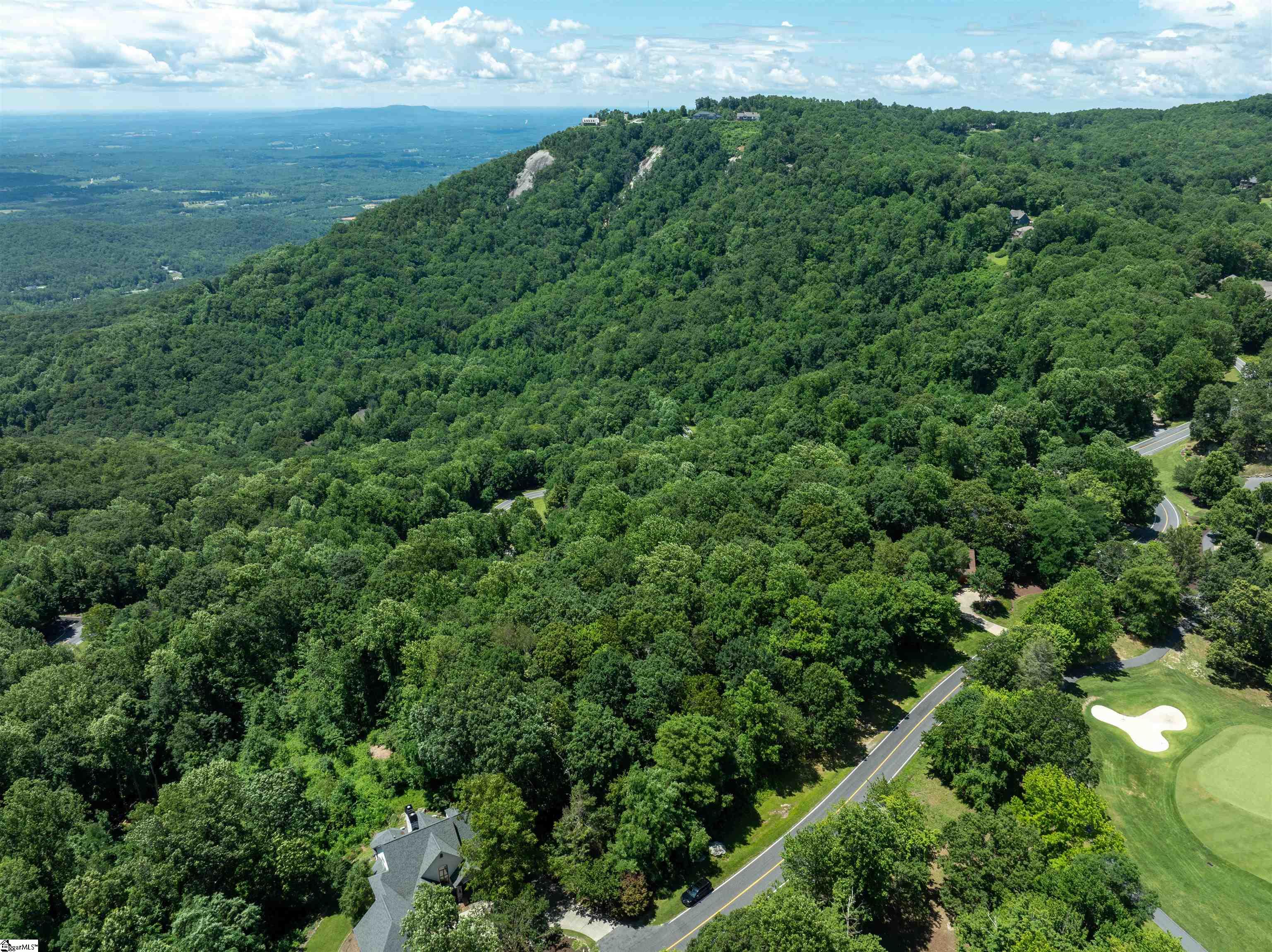 22 Raven Road Landrum, SC 29356 - Photo 10 of 13