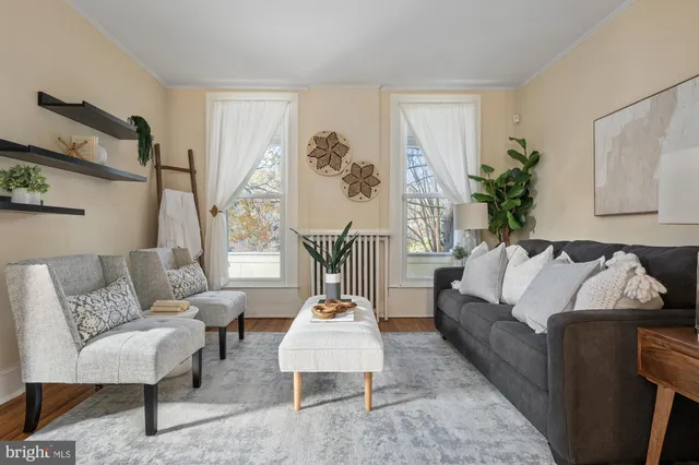 a living room with furniture flowerpot and window