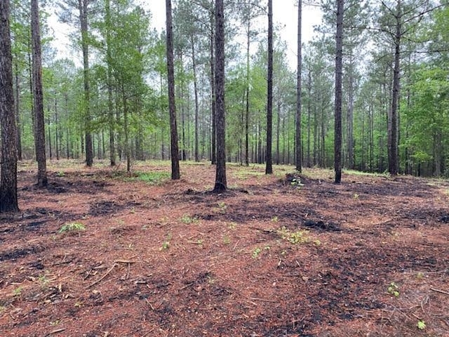 0 Roopville Veal Road Southwest, Unit 4 0 ACRES Roopville, GA 30170 - Photo 1 of 1 a view of outdoor space with green space and trees