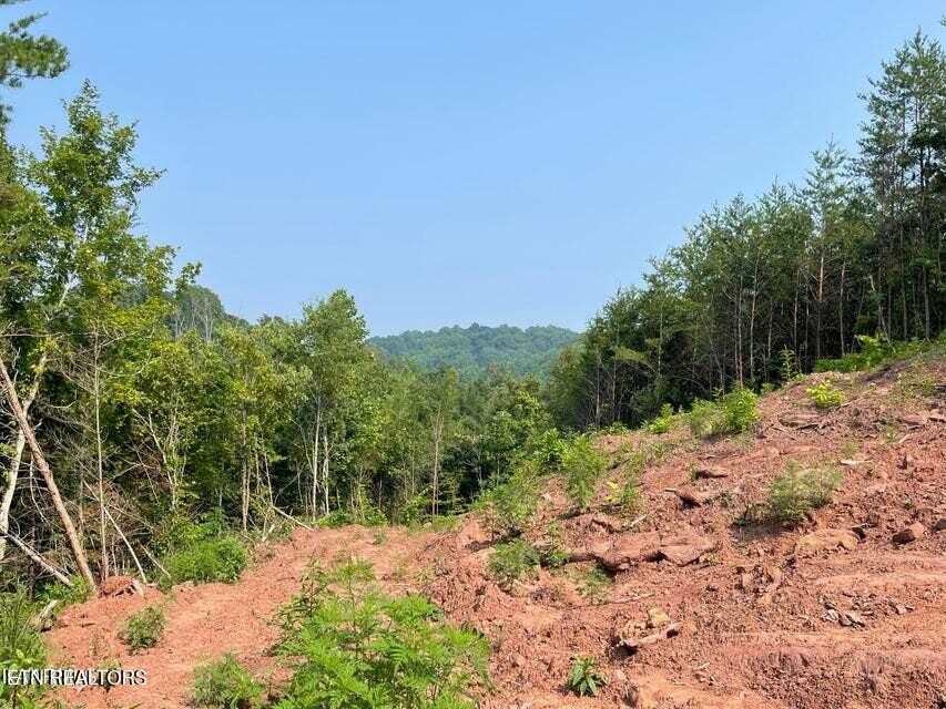 328 Boiling Springs Road Vonore, TN 37885 - Photo 8 of 37 Gallery Image 8