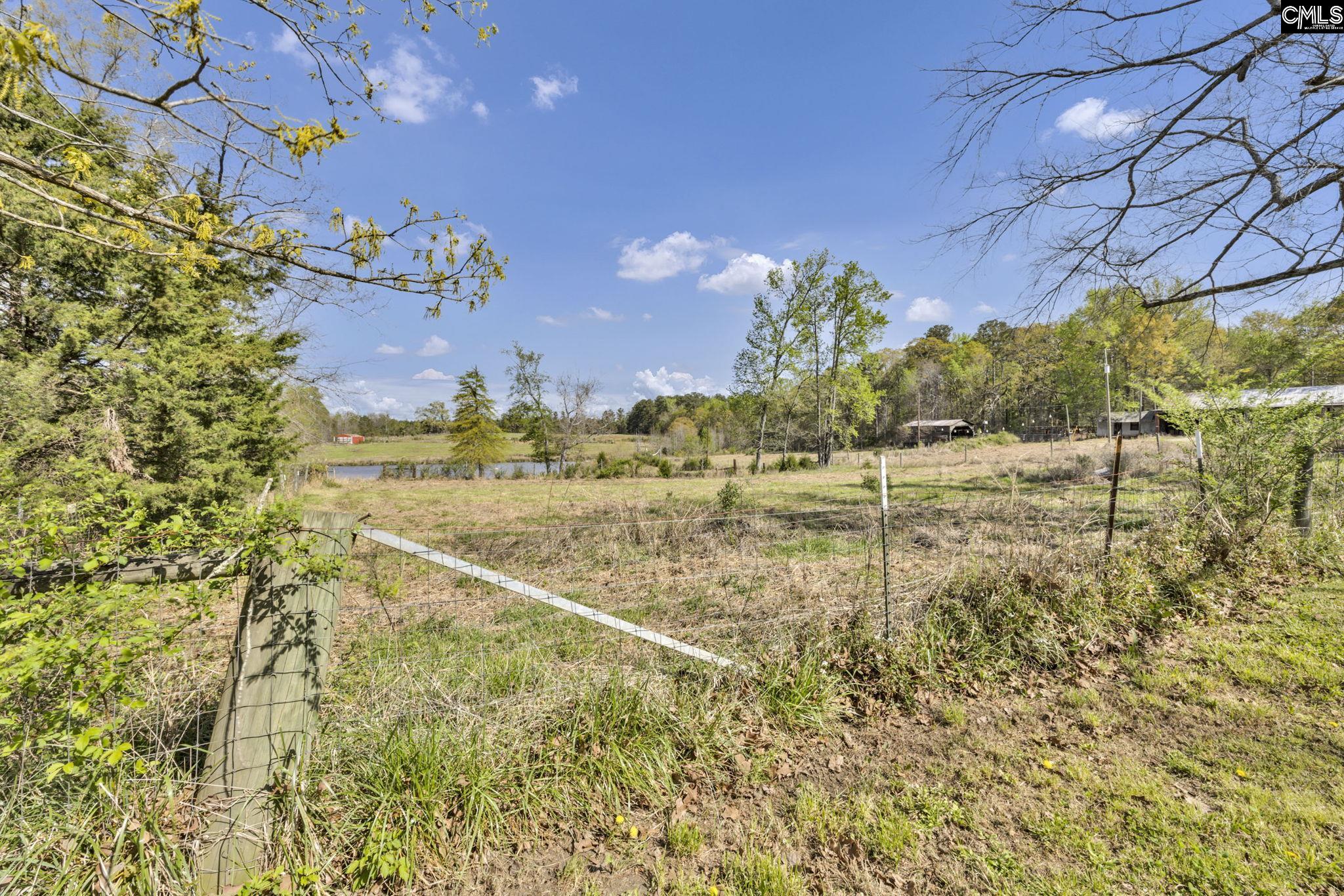 421-0 Shore Road Gilbert, SC 29054 - Photo 6 of 57