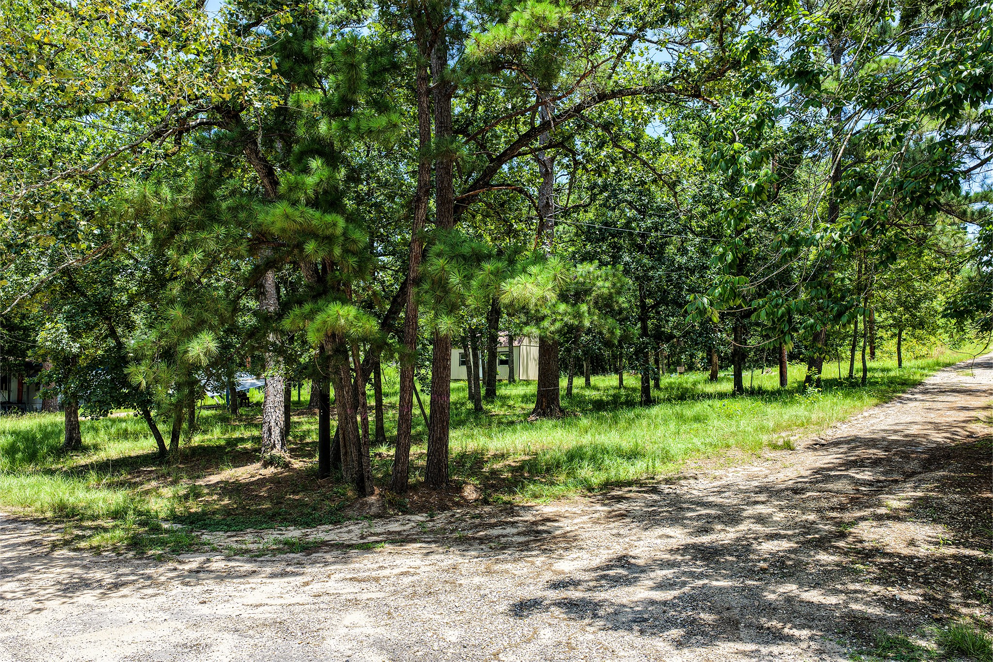 383 Post Oak Circle Trinity, TX 75862 - Photo 6 of 17