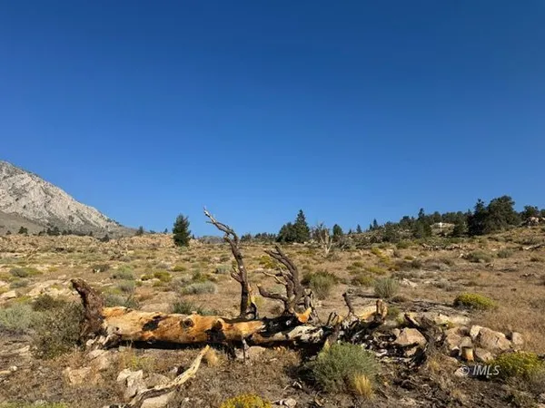 $149,900 | Lot #7 Swall Meadows Road, Bishop, CA 93514