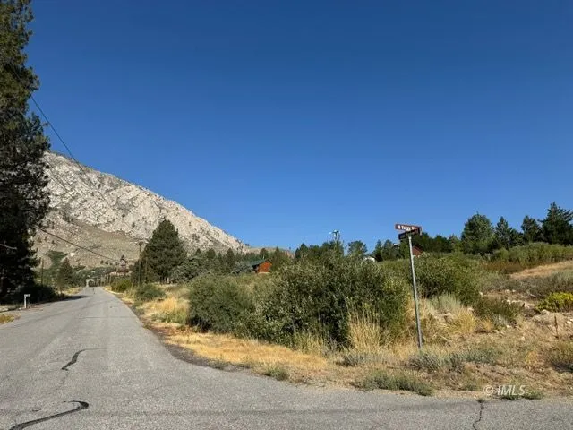 a view of a yard with a pathway