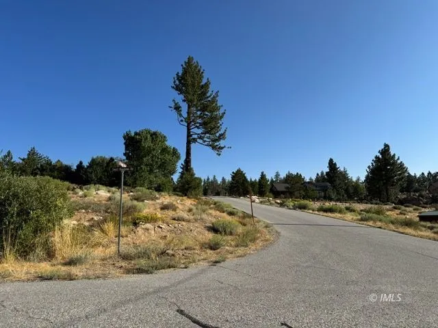 a view of a road with a yard