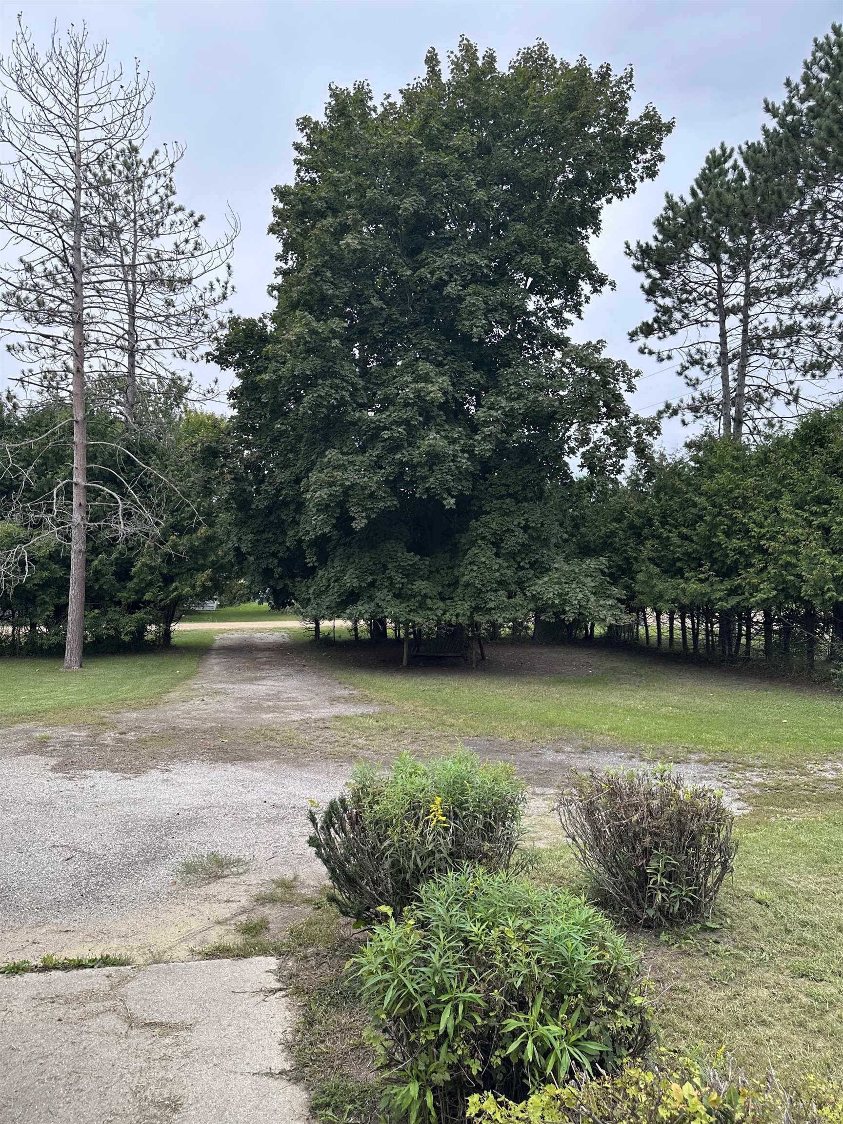 491 Brown Road Standish, MI 48658 - Photo 52 of 52 1950781-d905d7fb-2f75-4baa-9a22-5796eb37f014.JPG