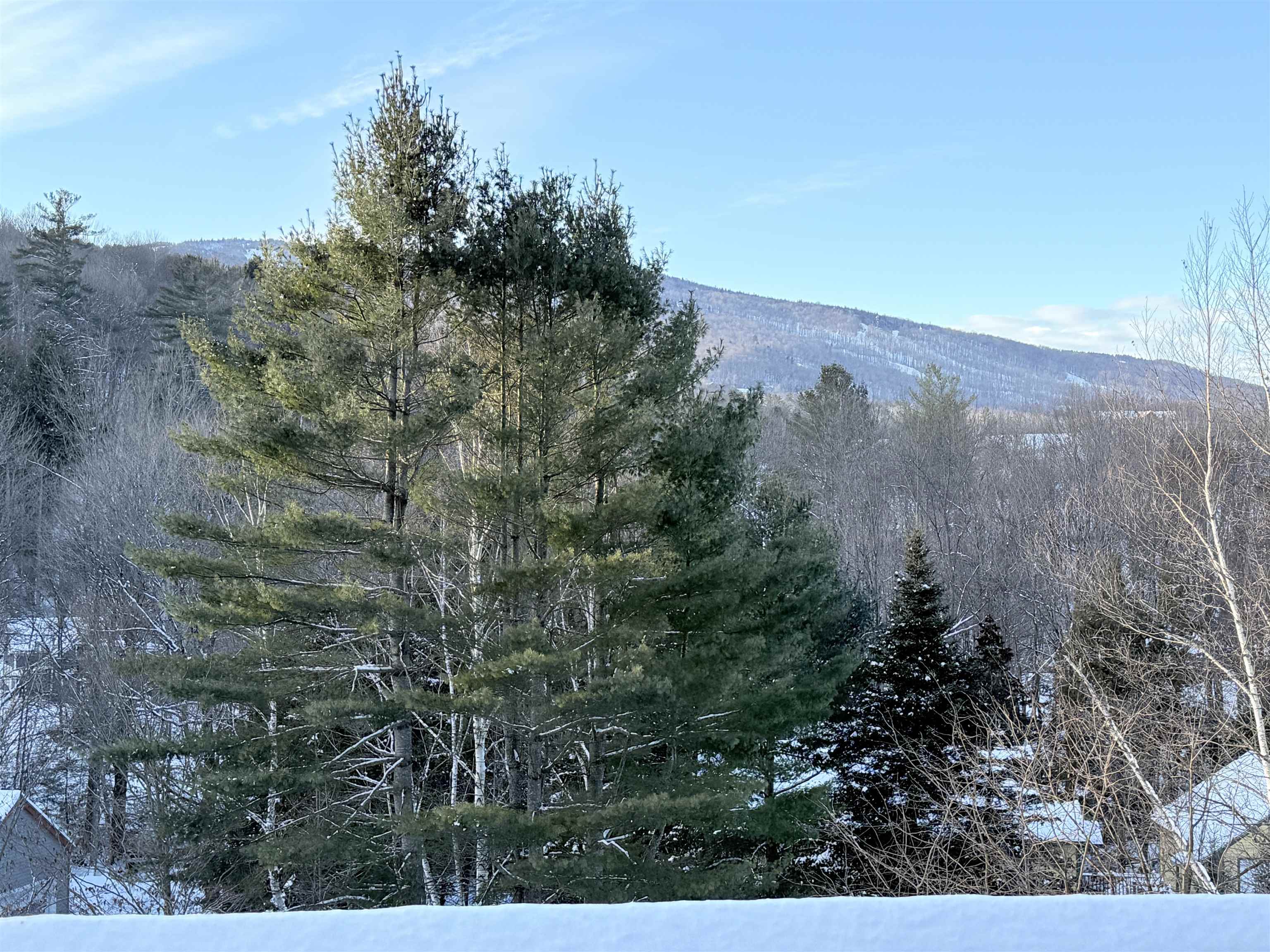32 Plumley Avenue Ludlow, VT 05149 - Photo 24 of 31