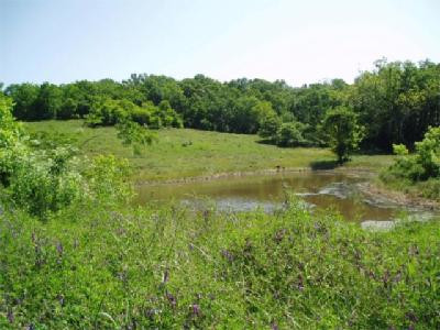 1686 Watts Ferry Road Frankfort, KY 40601 - Photo 4 of 5 Farm Pond attracts lots of Birds.