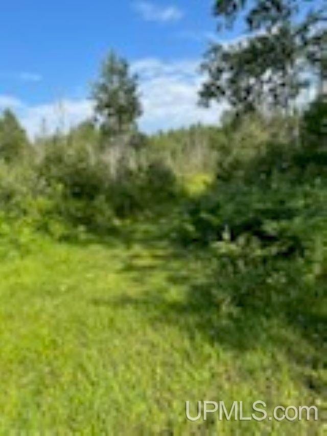 N7427 Lucas Road Felch, MI 49831 - Photo 12 of 16 Gallery Image 12