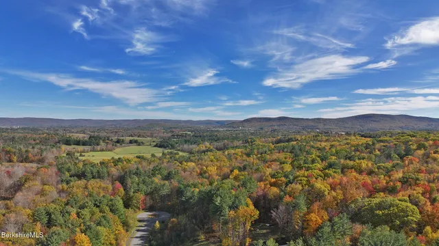 a view of a city with mountains in the background
