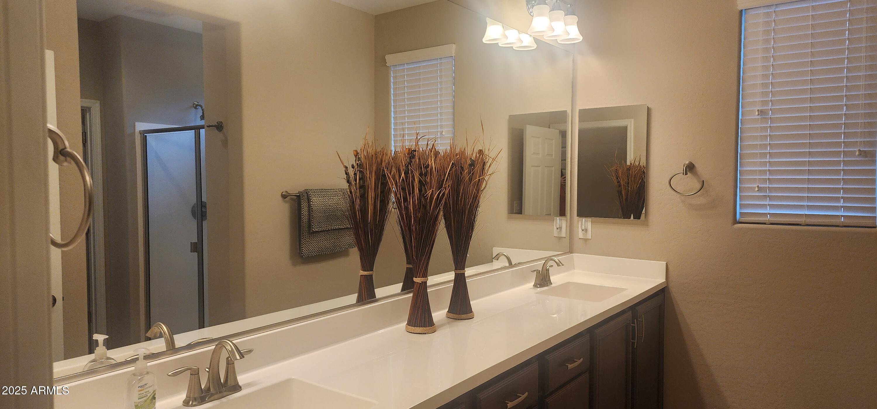 20602 North 274th Avenue Buckeye, AZ 85396 - Photo 7 of 22 a bathroom with a sink and a mirror