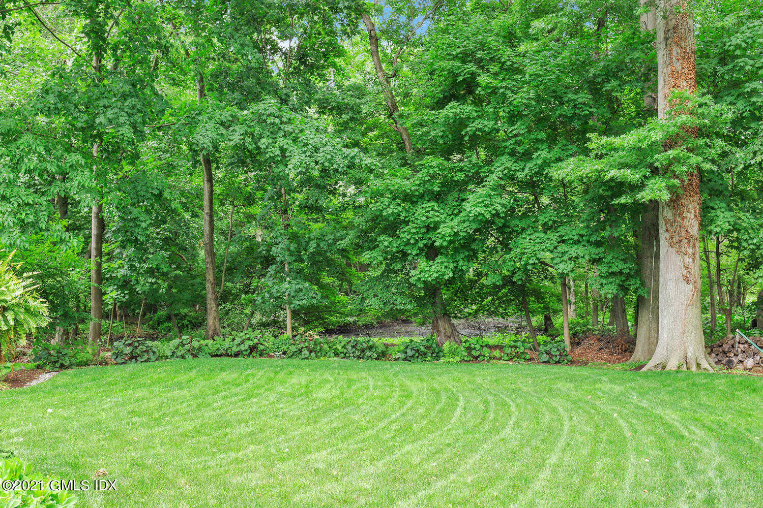 33 Mary Lane Riverside, CT 06878 - Photo 26 of 34 a view of backyard with green space