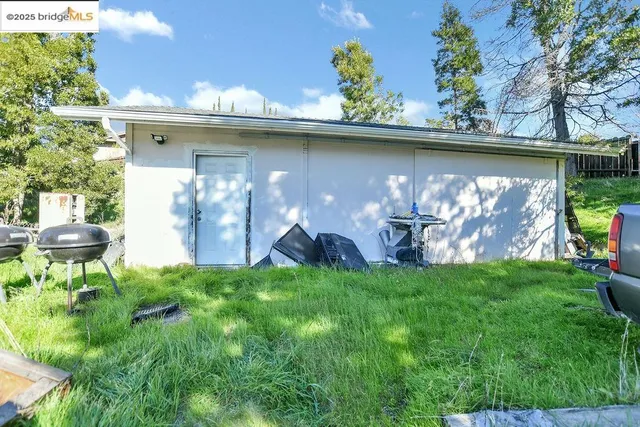 a view of a yard with plants and trees