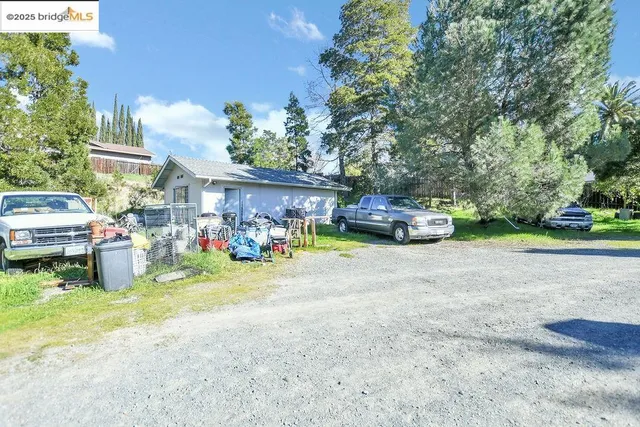 a view of a backyard with plants and large trees