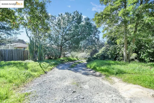 a view of a house with yard and a tree