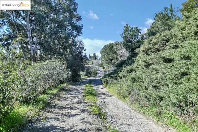 a view of a yard with an tree and a fence