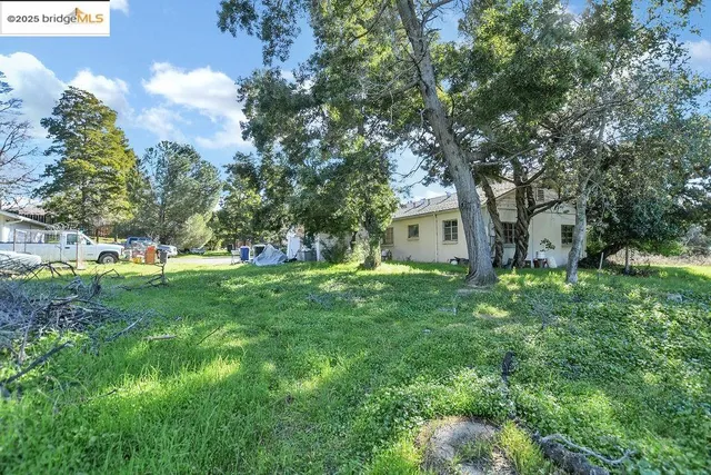 a view of a big yard with large trees