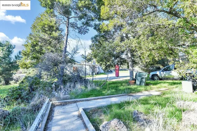a front view of house with a garden