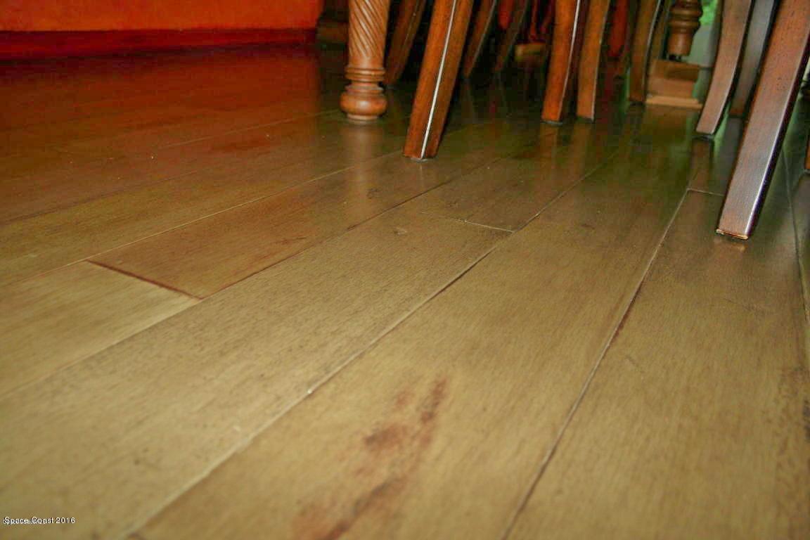 795 Seymour Road Northeast Palm Bay, FL 32905 - Photo 24 of 46 BEAUTIFUL WOOD FLOOR