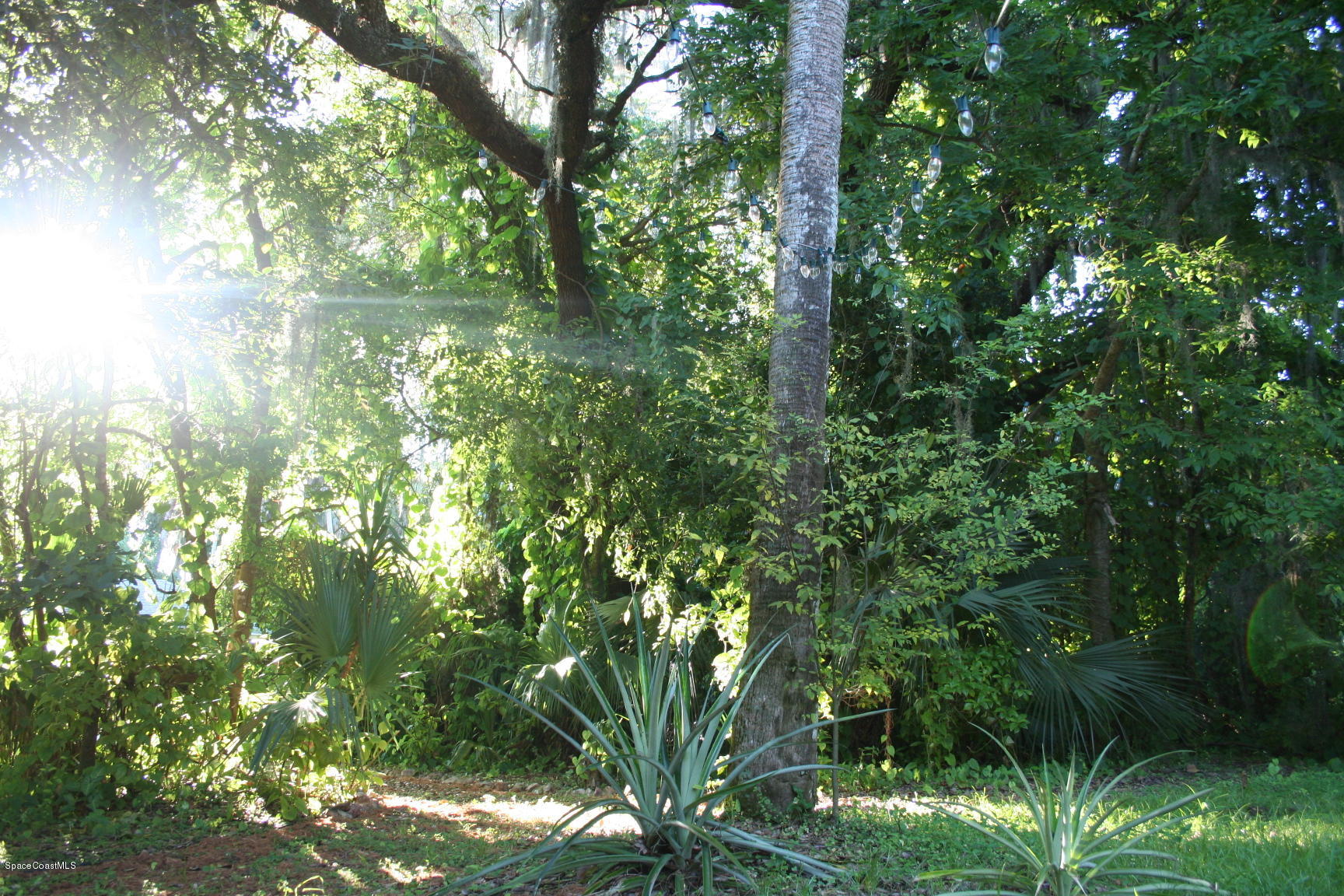 795 Seymour Road Northeast Palm Bay, FL 32905 - Photo 34 of 46 LOVELY YARD