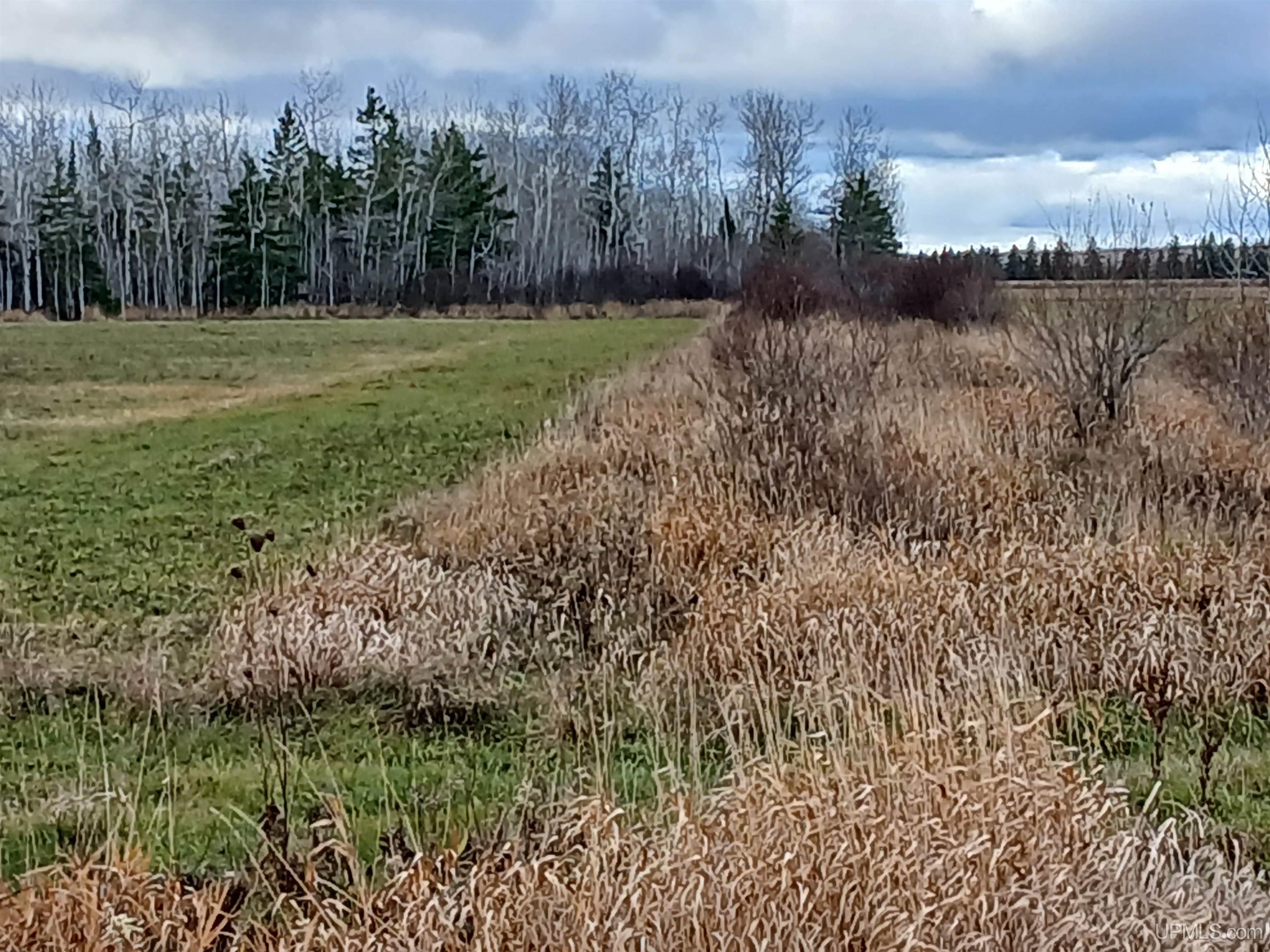 22508 South Hantz Road Rudyard, MI 49780 - Photo 23 of 57