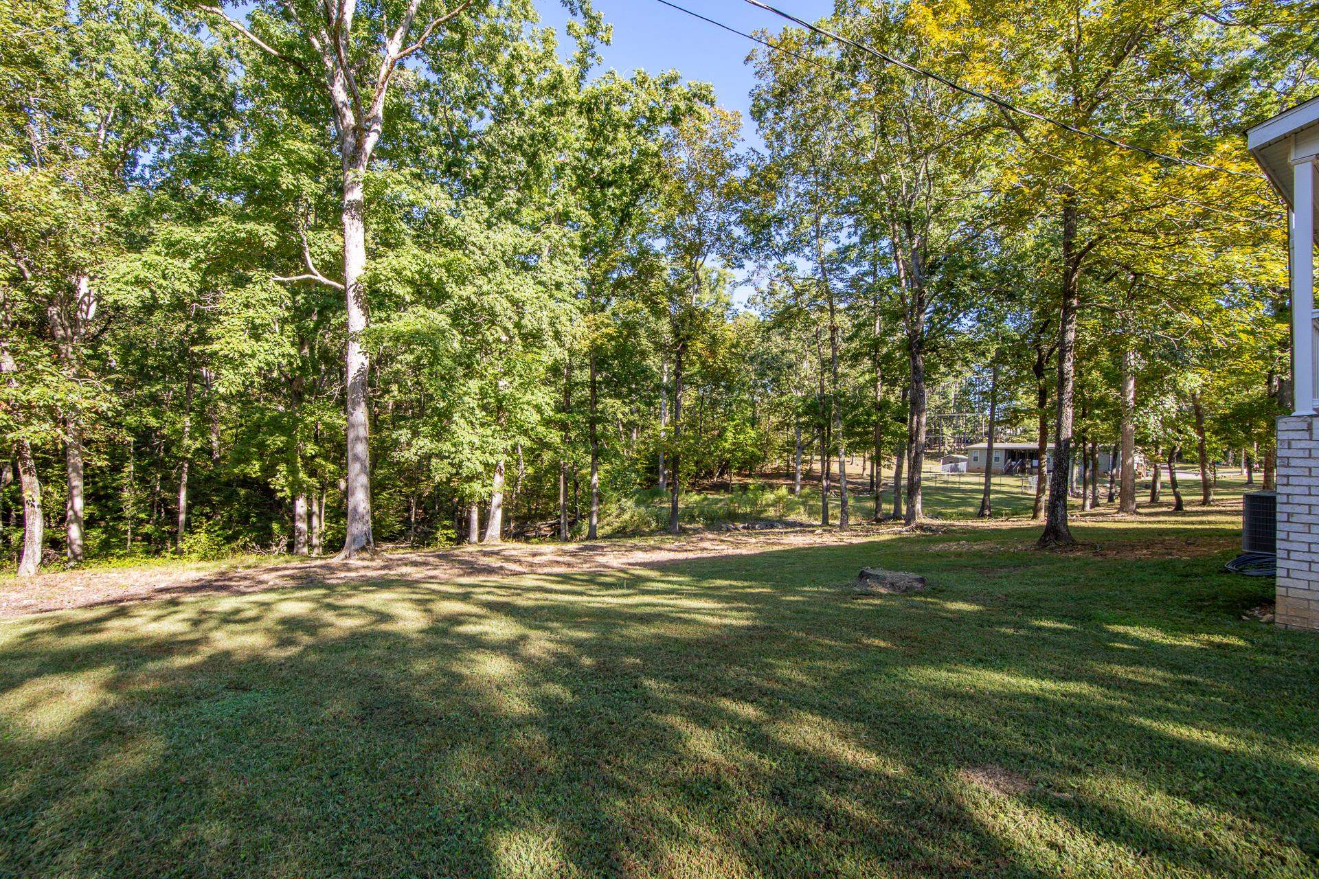 30 Chardonnay Way Counce, TN 38326 - Photo 2 of 37 a big yard with trees