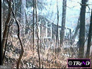 498 River Road Pipersville, PA 18947 - Photo 1 of 1 Gallery Image 1