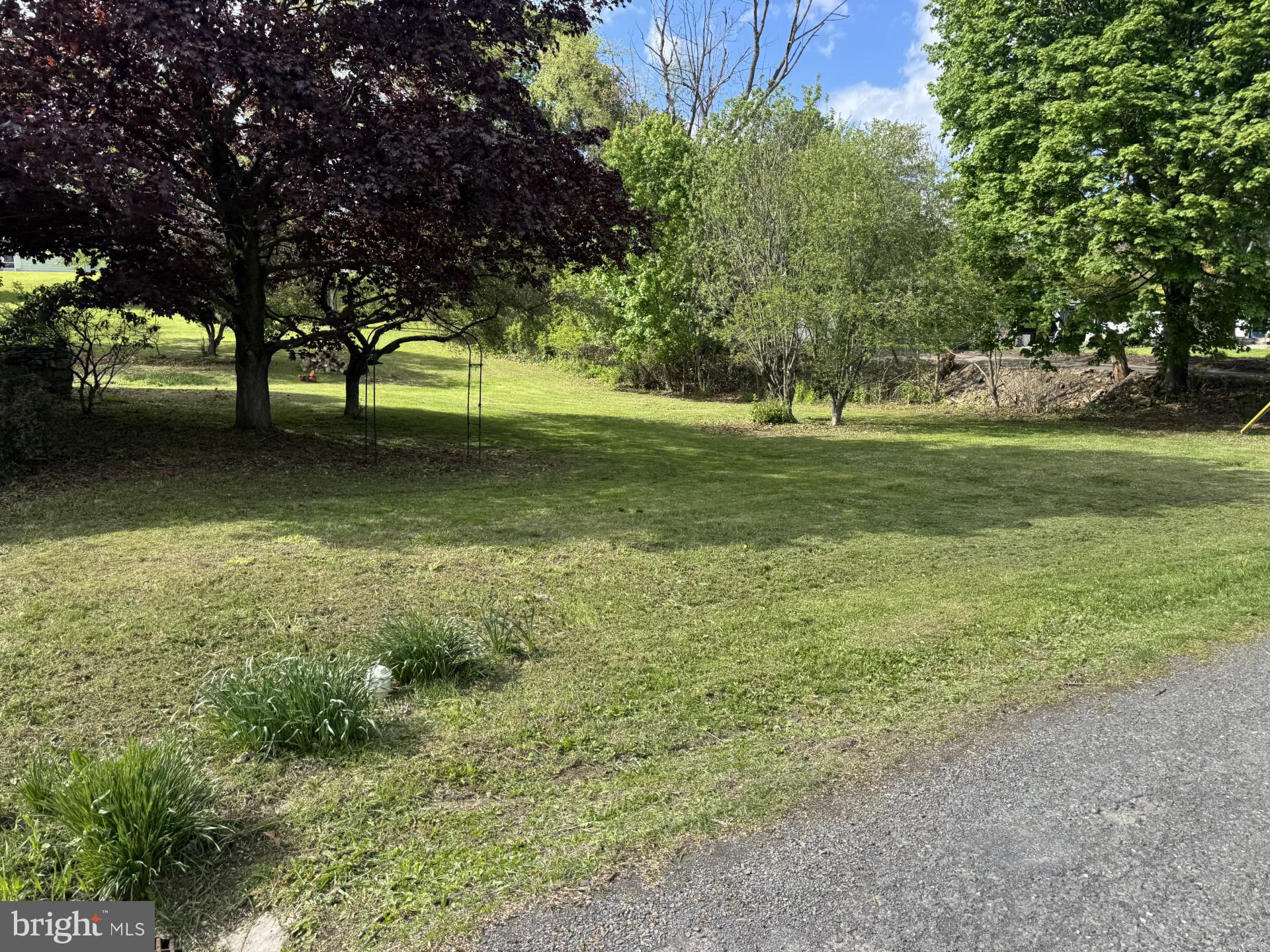 167 Llewellyn Road Pottsville, PA 17901 - Photo 8 of 9 Yard