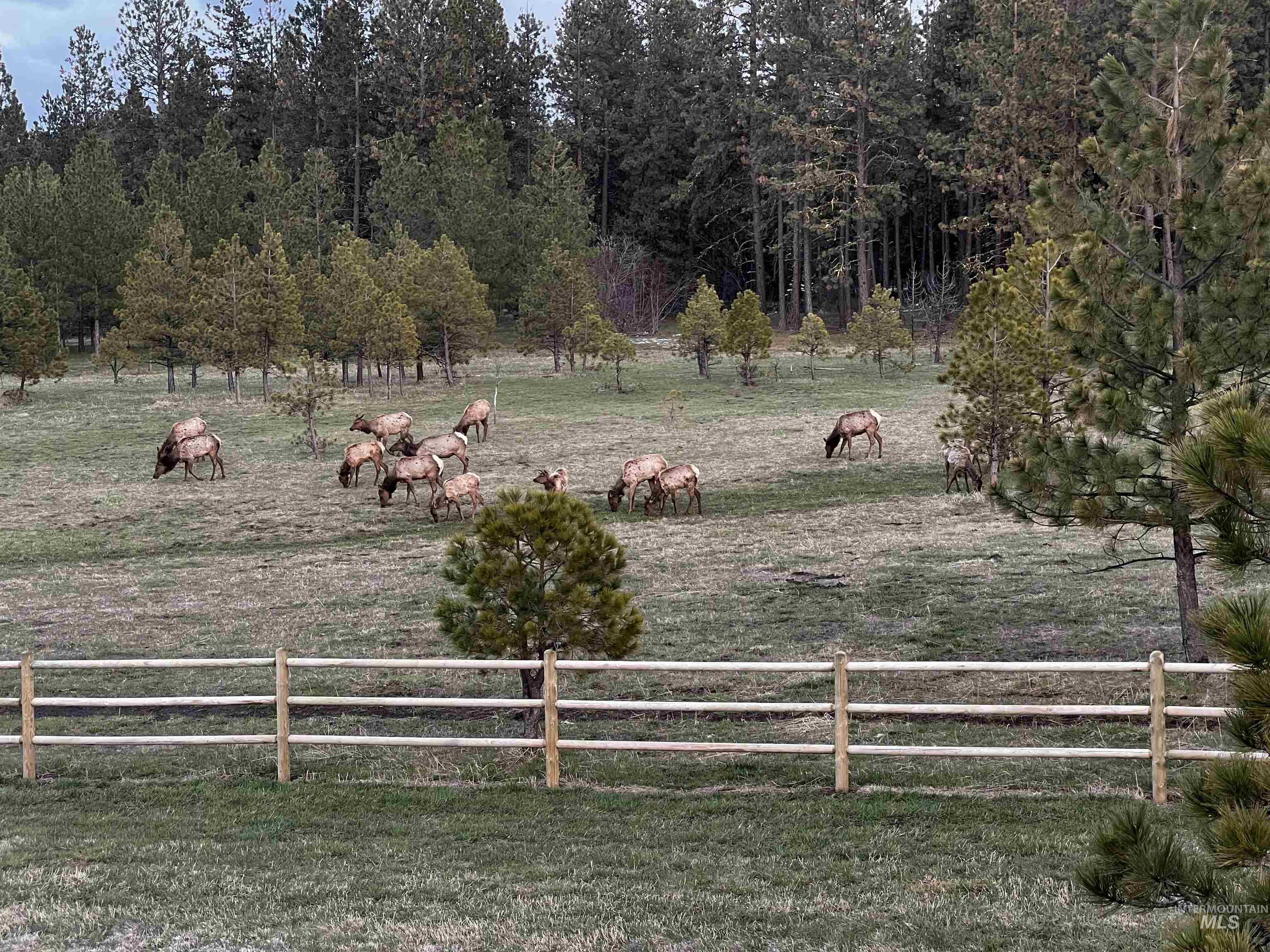 1881 Mill Road Anatone, WA 99401 - Photo 9 of 50