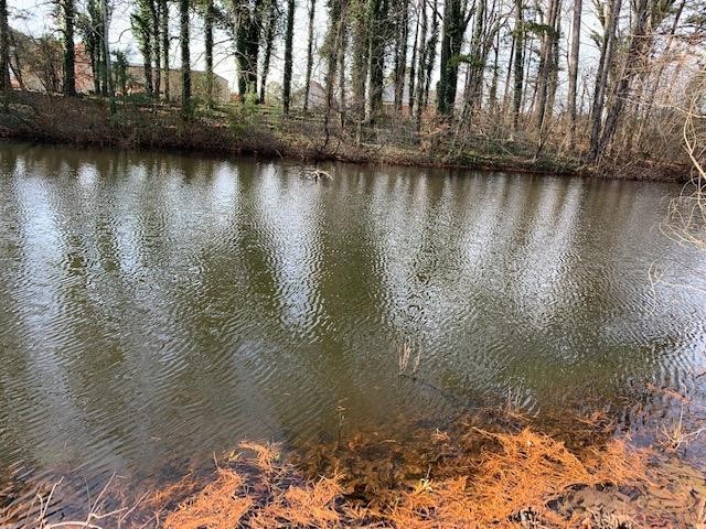 0 Peavine Road Ringgold, GA 30736 - Photo 3 of 5 a view of lake with trees