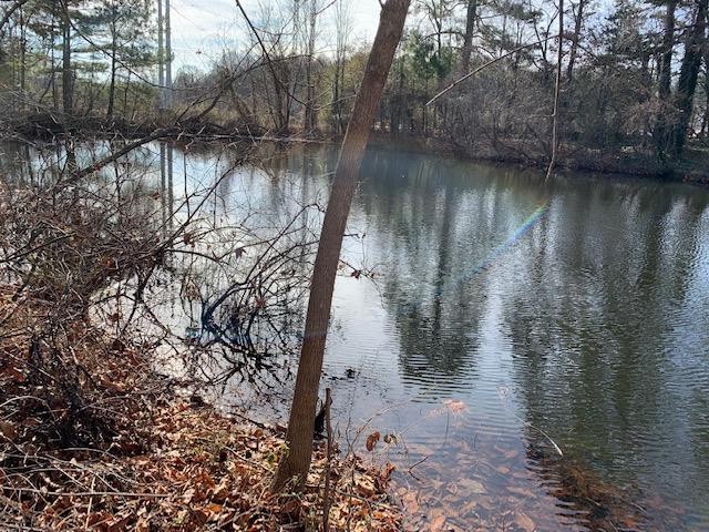 0 Peavine Road Ringgold, GA 30736 - Photo 4 of 5 a view of lake