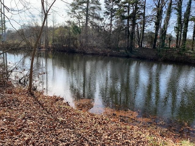 0 Peavine Road Ringgold, GA 30736 - Photo 5 of 5 a view of lake with green space