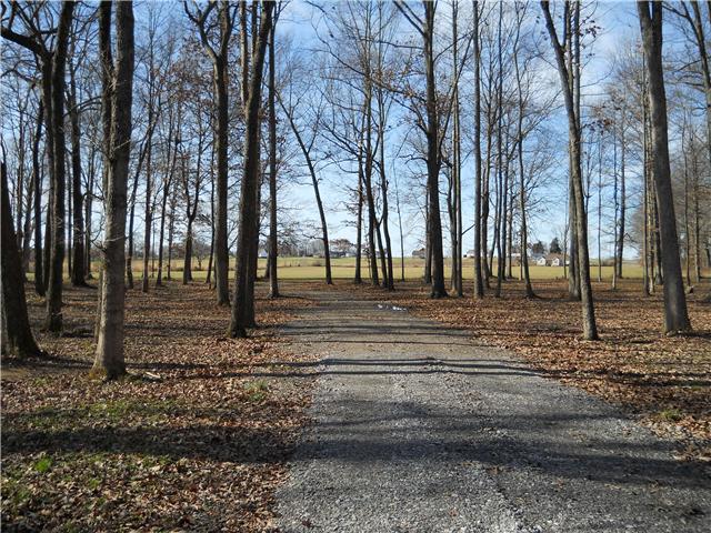 5220 Fred Perry Road Springfield, TN 37172 - Photo 1 of 9 View from the road looking back through the cleared woods to the open back. This is truly one of the prettiest tracts in the county!