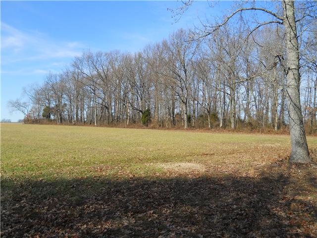 5220 Fred Perry Road Springfield, TN 37172 - Photo 2 of 9