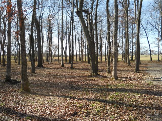 5220 Fred Perry Road Springfield, TN 37172 - Photo 3 of 9