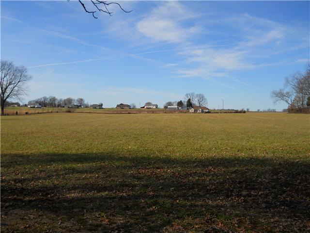 5220 Fred Perry Road Springfield, TN 37172 - Photo 4 of 9