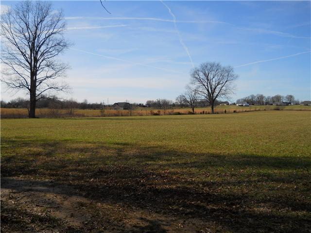 5220 Fred Perry Road Springfield, TN 37172 - Photo 5 of 9