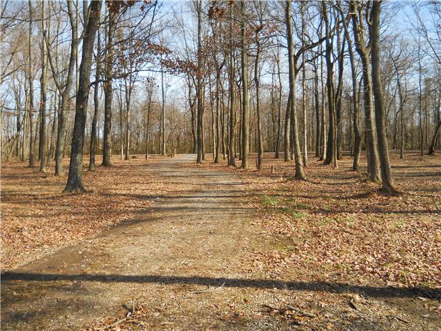 5220 Fred Perry Road Springfield, TN 37172 - Photo 6 of 9 Standing at the very front of the pasture looking back toward the road.