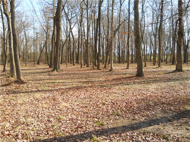 5220 Fred Perry Road Springfield, TN 37172 - Photo 8 of 9