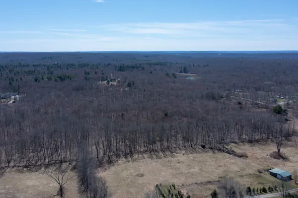 a view of a dry yard with trees