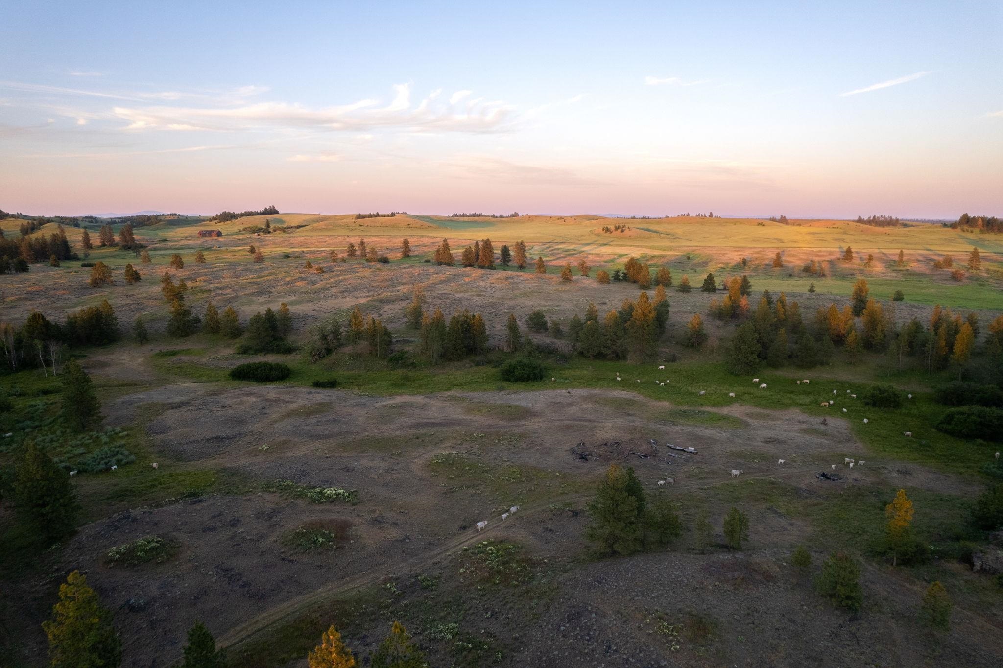 27000-blk South Pine Springs Road Cheney, WA 99004 - Photo 21 of 30