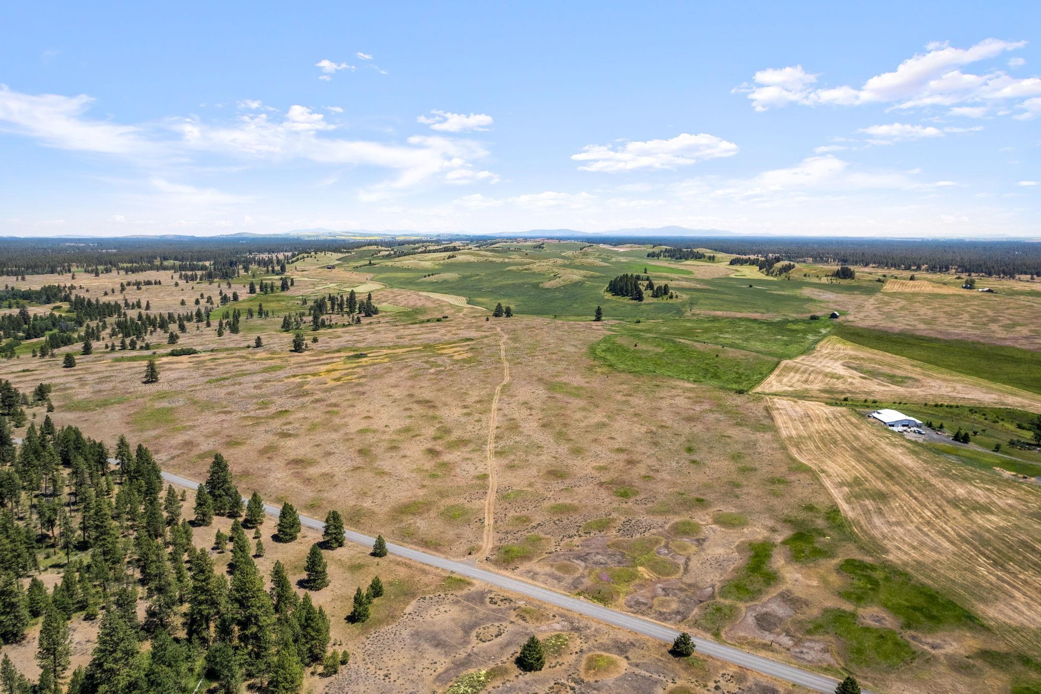 27000-blk South Pine Springs Road Cheney, WA 99004 - Photo 3 of 30